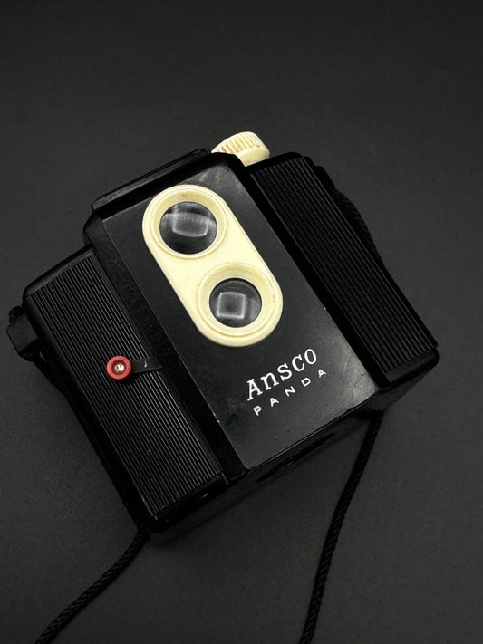 Vintage Ansco Panda Box Camera 620 Film 1939 - 1950 - Tested & Working