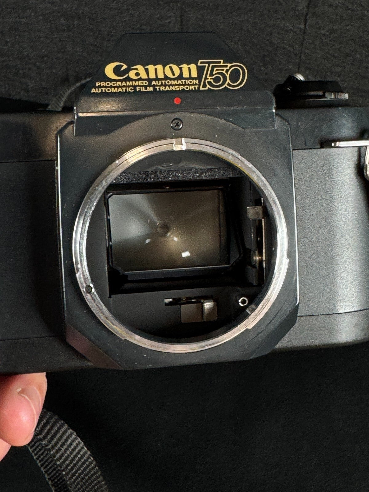 Canon T50 Vintage 1980's 35mm SLR Camera Body Only - Tested & Working