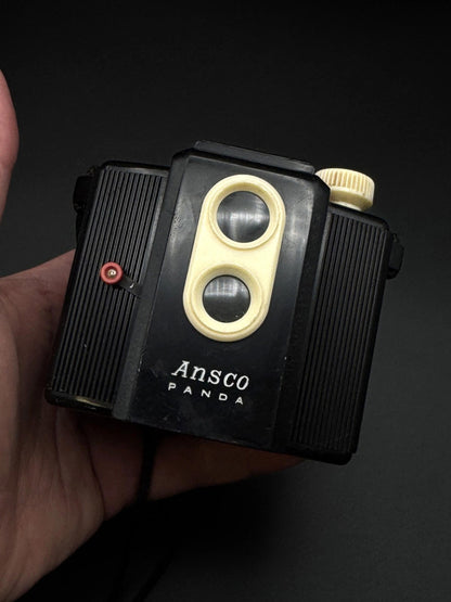 Vintage Ansco Panda Box Camera 620 Film 1939 - 1950 - Tested & Working