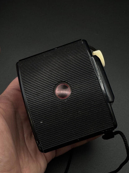 Vintage Ansco Panda Box Camera 620 Film 1939 - 1950 - Tested & Working