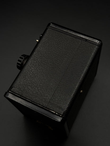 Kodak Brownie Six-20 Model D Camera - Fully Working 1950s Vintage Photography