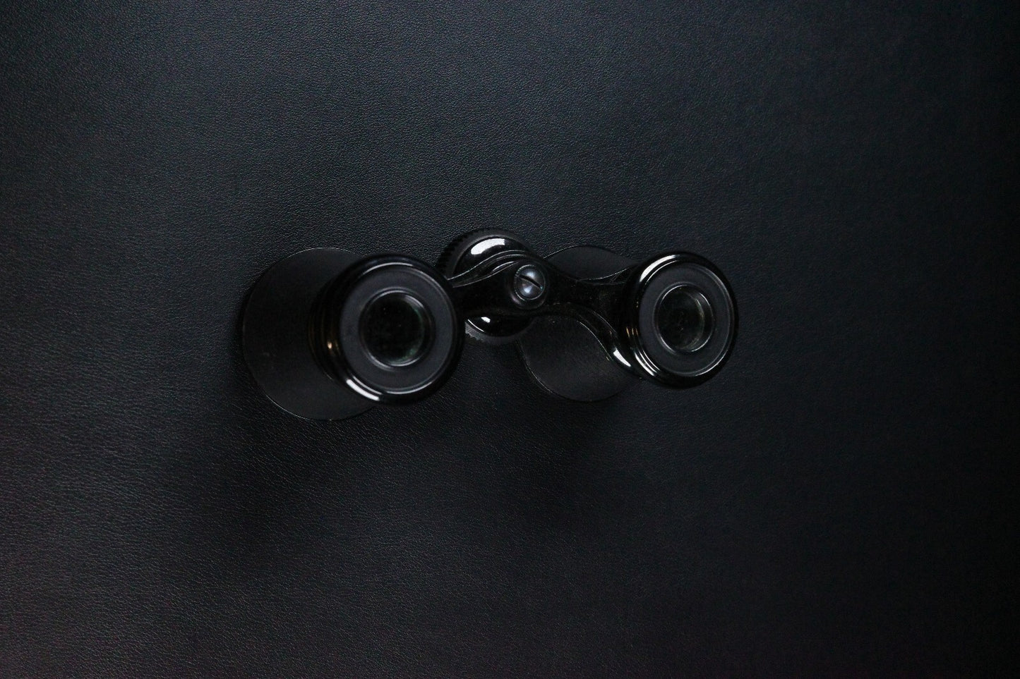 Vintage Theatre Opera Glasses / Binoculars & Case