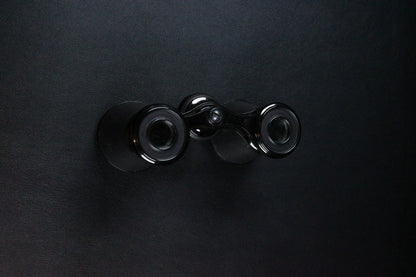 Vintage Theatre Opera Glasses / Binoculars & Case