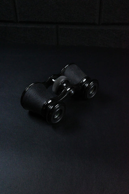 Vintage Theatre Opera Glasses / Binoculars & Case