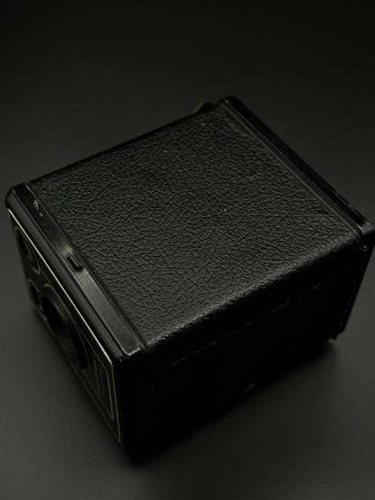 Working Kodak Brownie Six-20 Model D Vintage Film Camera with Case