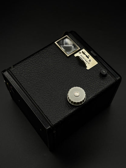 Working Kodak Brownie Six-20 Model D Vintage Film Camera with Case