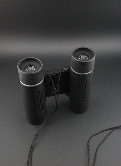 Praktica W10x25 DCF 10x25 Compact Binoculars With Case - Tested & Working