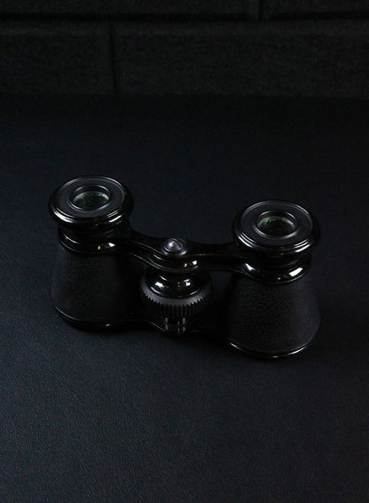 Vintage Theatre Opera Glasses / Binoculars & Case